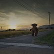 OSO. Film, Video, TV, Photograph, and Advertising project by Juanma Carrillo - 09.27.2020