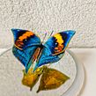 Double-sided 3D embroidery butterfly. Een project van 3D y Borduurwerk van shan - 01.01.2020