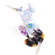 New bumble bee commission for a special client  Ein Projekt aus dem Bereich Aquarellmalerei von Sarah Stokes - 14.01.2021