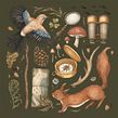 2021 Calendar. Un proyecto de Ilustración botánica, Ilustración tradicional e Ilustración naturalista				 de Jessica Roux - 29.09.2020