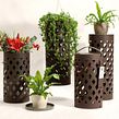 PACKAGING FLORES. Un proyecto de Diseño, Diseño de producto y Diseño industrial de Tati Guimarães - 29.01.2021