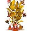 Jardín . Ilustração tradicional projeto de Cristian Garrido Alfaro - 09.02.2021