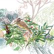 Biología evolutiva. Projekt z dziedziny Ilustracja naturalist i czna użytkownika Elizabeth Builes Carmona - 16.02.2021