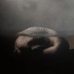 ENQUANTO EXISTO. Un proyecto de Bellas Artes, Autorretrato Fotográfico y Fotografía artística de Danny Bittencourt - 21.02.2021