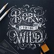 Born To Be Wild. H, Lettering, Lettering, T, and pograph project by Aurelie Maron - 12.31.2018