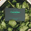 Carmina. Gastrotasca. Un progetto di Br, ing, Br, identit, Design di loghi, Graphic design e Packaging di Gabriel Sencillo - 03.03.2021