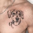 Tatuajes de mascotas . Tattoo Design project by Mazvtier - 03.08.2021