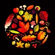 Autumn Colours. Un proyecto de Ilustración infantil, Ilustración digital, Ilustración editorial e Ilustración tradicional de Gemma Gould - 09.03.2021