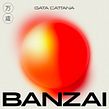 Gata Cattana . Banzai - Mezclador Ein Projekt aus dem Bereich Musik und Musikproduktion von Luca Petricca - 23.03.2021