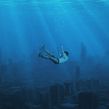 Searise Ein Projekt aus dem Bereich Animation, Collage, Kunstleitung, VFX und Video von Joseba Elorza - 24.03.2021