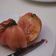 Plantable Meal - Tomeato. Design project by Cecilia Tham - 03.25.2021