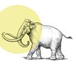 DK - Behind the scenes at the museum. Un proyecto de Ilustración infantil de Philip Harris - 07.02.2020