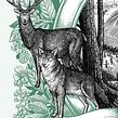 Arte Magazine - Rewilding. Editorial Illustration project by Philip Harris - 03.31.2019
