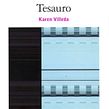 Tesauro. Writing project by Karen Villeda - 01.01.2010