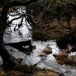 Landscapes 2. Photograph project by Debbie Castro - 04.27.2021