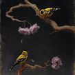 Gold Finches and Cherry Blossoms Ein Projekt aus dem Bereich Bildende Künste, Malerei, Ölmalerei und Naturalistische Illustration von Sarah Margaret Gibson - 03.05.2021