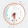 Diagrams and infographics for Scientific American. Un proyecto de Diseño, Ilustración tradicional, Dirección de arte, Diseño editorial, Educación, Diseño gráfico, Diseño de la información, Infografía, Ilustración vectorial, Creatividad, Ilustración digital, Diseño digital, Comunicación, Dibujo digital, Narrativa, Ilustración editorial, Stor y telling de Federica Fragapane - 11.06.2021