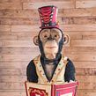 Escultura comestible de un chimpancé de 1,20 metros de alto Ein Projekt aus dem Bereich Kreativität, Skulptur und 3-D-Modellierung von Marc Suárez - 15.06.2021