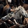 Caballos Salvajes. Film, Video, TV, Video, Stor, and telling project by Juan Rayos - 06.25.2013