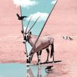 Source of Life. Un progetto di Design, Illustrazione tradizionale, Fotografia e Ritocco fotografico di Julien Tabet - 12.05.2019