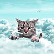 Curious. Un progetto di Design, Illustrazione tradizionale, Fotografia e Ritocco fotografico di Julien Tabet - 19.05.2019