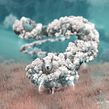 Stormy. Design, Ilustração tradicional, Fotografia, e Retoque fotográfico projeto de Julien Tabet - 02.08.2018