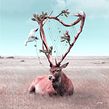 Symphony. Un progetto di Design, Illustrazione tradizionale, Fotografia e Ritocco fotografico di Julien Tabet - 23.04.2018