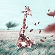 Windy. Design, Ilustração tradicional, Fotografia, e Retoque fotográfico projeto de Julien Tabet - 07.03.2018