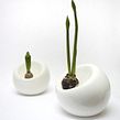 Bulb planter. Un proyecto de Diseño de producto, Diseño industrial y Cerámica de Marre Moerel - 08.07.2021