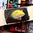Watercolor Study - frog. Ilustração tradicional, e Pintura projeto de Go Carvalho - 16.07.2021