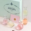 Prada - Les Infusions . Un proyecto de Fotografía de Marioly Vázquez - 27.07.2021
