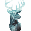 Double Exposure Aquarell Tiere. Un proyecto de Ilustración tradicional, Bellas Artes, Pintura, Creatividad, Dibujo, Pintura a la acuarela, Dibujo realista, Dibujo artístico, Instagram, Ilustración botánica, Teoría del color, Ilustración naturalista				 y Pintura gouache de Jessica Janik - 29.07.2021
