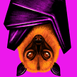 Flying Fox. Traditional illustration project by Brad Woodard - 08.19.2021