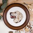Embroidered pets. Embroider project by Michelle Staub ⋆ StitchingSabbatical - 08.30.2021