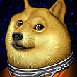 Mat Beast "Doge Coin" rash guard illustration. Traditional illustration, and Vector Illustration project by Matt Curtis - 07.28.2021