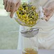 /color extraction process (fresh self-foraged Cota Tinctoria and homemade copper mordant) . Projekt z dziedziny Craft i Farbowanie tkanin użytkownika Lucrezia Moro - 15.09.2021