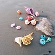 Crochet shells and corals Ein Projekt aus dem Bereich H und werk von Marianne Seiman - 18.09.2021