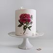 Botanical painted cakes. Design, Traditional illustration, Arts, Crafts, Painting, Creativit, and Botanical Illustration project by Cynthia Irani - 09.18.2021