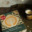 Summers Under the Tamarind Tree (book). Writing project by Sumayya Usmani - 04.05.2016