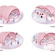 Cave Pavilion. Un proyecto de Diseño, Ilustración tradicional y Arquitectura de PAKKA - 29.09.2021