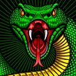 Mat Beast "Green Viper" rash guard illustration. Traditional illustration, and Digital Illustration project by Matt Curtis - 01.27.2020