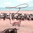 Hunter. Een project van Traditionele illustratie y Retoucheren van foto's van Julien Tabet - 24.11.2019