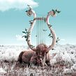 Wisdom. Traditional illustration, and Photo Retouching project by Julien Tabet - 05.24.2020