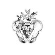 Anatomía y Botánica. Drawing, Pencil Drawing, Figure Drawing, Traditional illustration, Botanical Illustration, and Naturalistic Illustration project by Iván Salamanca - 10.07.2021