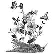 Florecer. Drawing, Pencil Drawing, Traditional illustration, Botanical Illustration, and Naturalistic Illustration project by Iván Salamanca - 10.07.2021