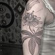 PASSIFLORA. Tattoo Design, and Traditional illustration project by Marco Matarese - 10.09.2021