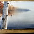 Another birch tree . Un projet de Beaux Arts de Christian Koivumaa - 13.10.2021