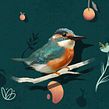 Colección cajas aves. Un proyecto de Diseño, Ilustración tradicional, Publicidad, Ilustración digital, Diseño industrial e Ilustración naturalista				 de Iván Cruz - 17.10.2020