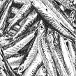 Inktober 2020. Design, Traditional illustration, Drawing, Ink Illustration, and Naturalistic Illustration project by David Morales - 10.01.2020