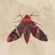Insects. Traditional illustration, Editorial Design, Graphic Design, Realistic Drawing, and Concept Art project by Vicente Martí Solar - 10.22.2021